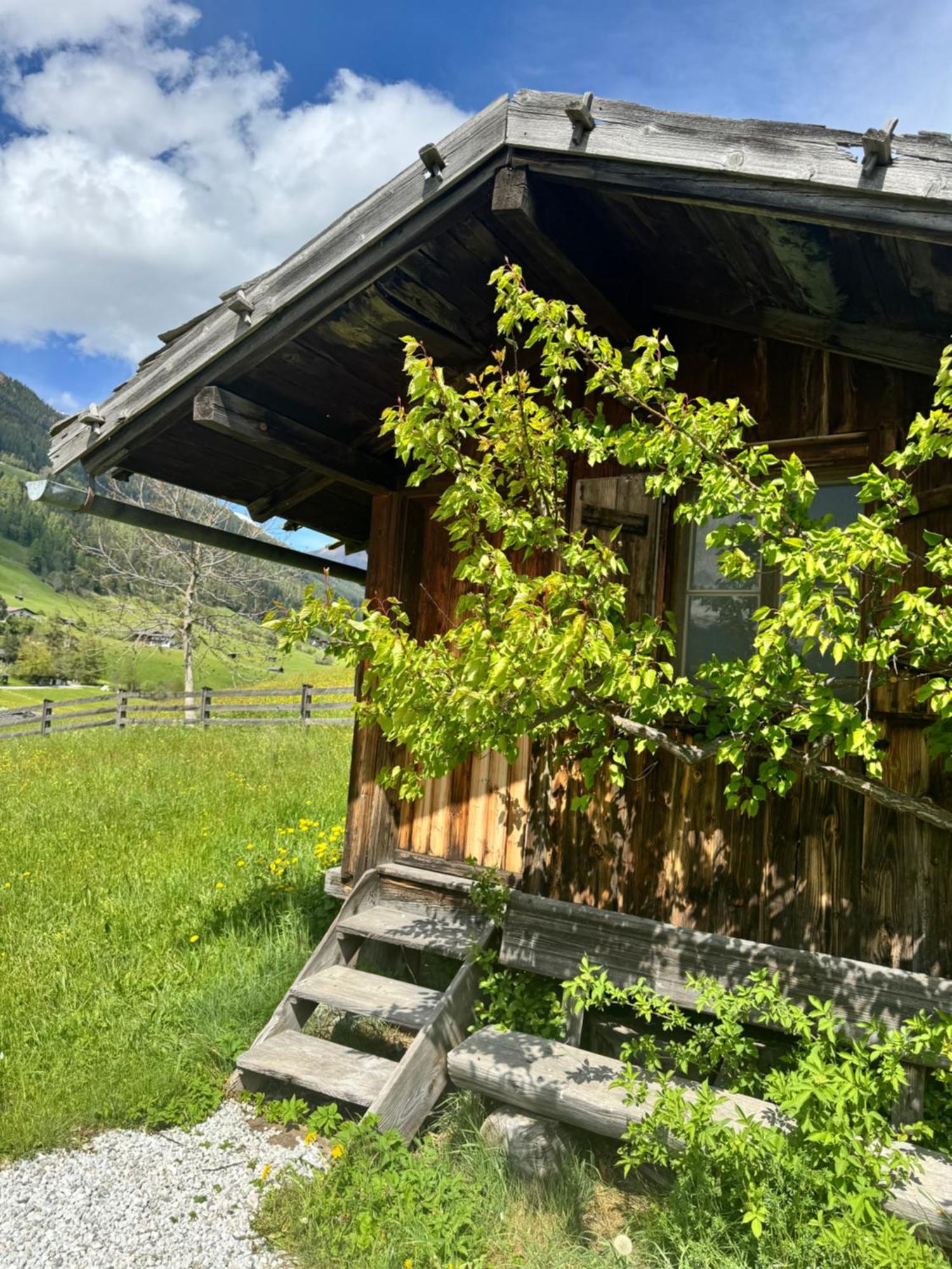 Haus Ilmer Neustift im Stubaital Esterno foto